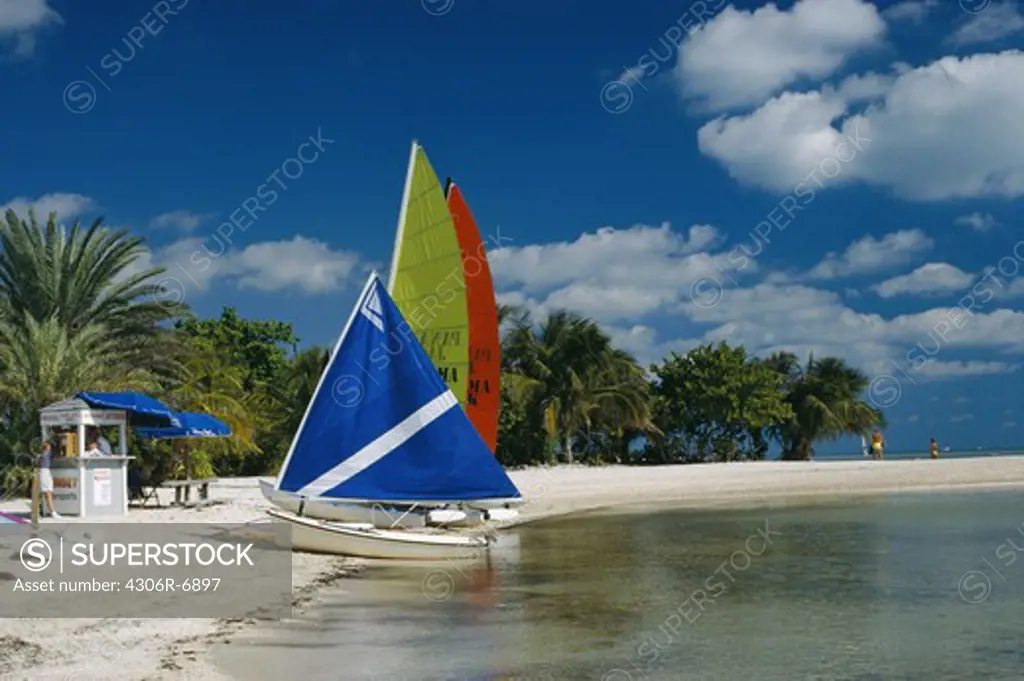 Sailing boats moored on beach, row of trees in background