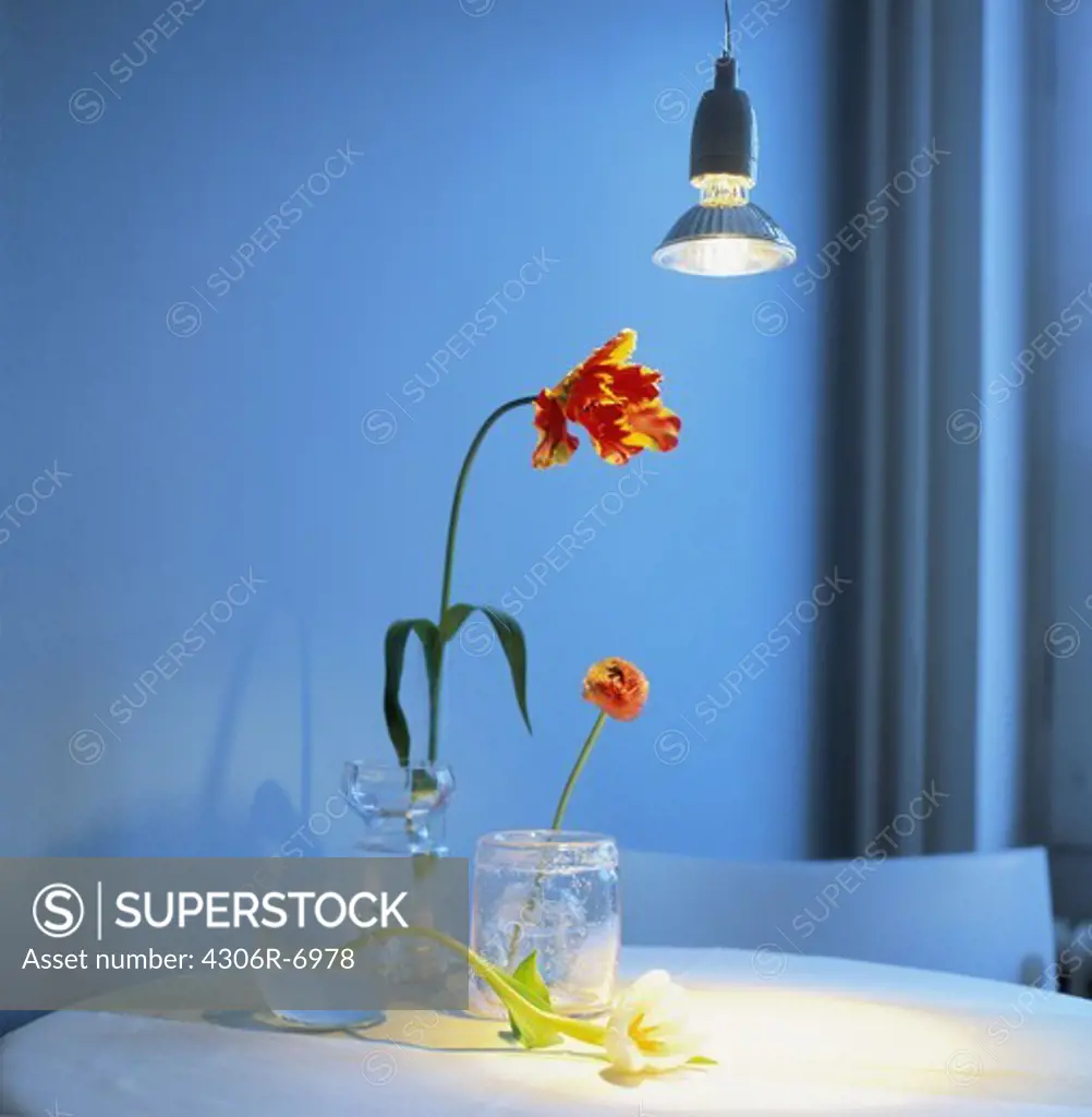 Lamp hanging over table with tulip flowers in vase