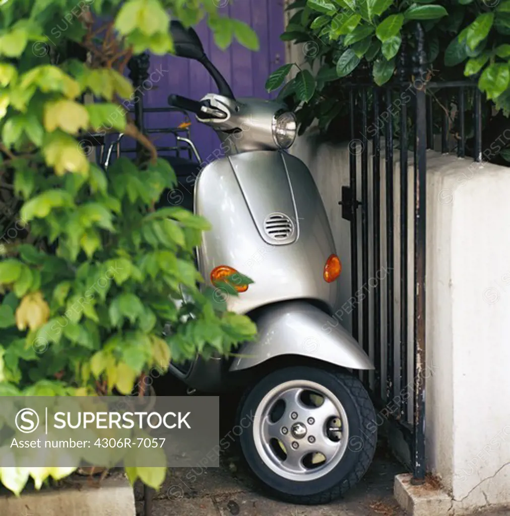 Scooter parked beside gate, green leaves on side