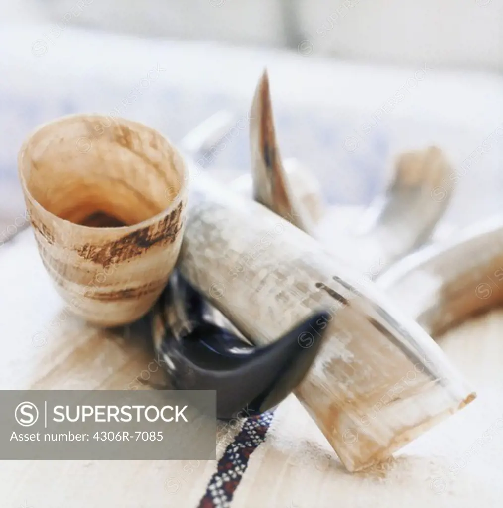 Close-up of animal horns on table