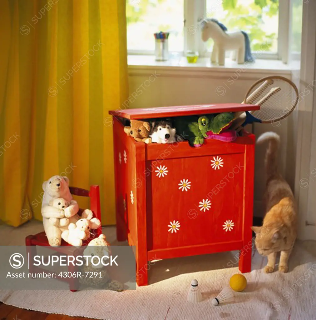 Cat standing beside toys and toy cupboard