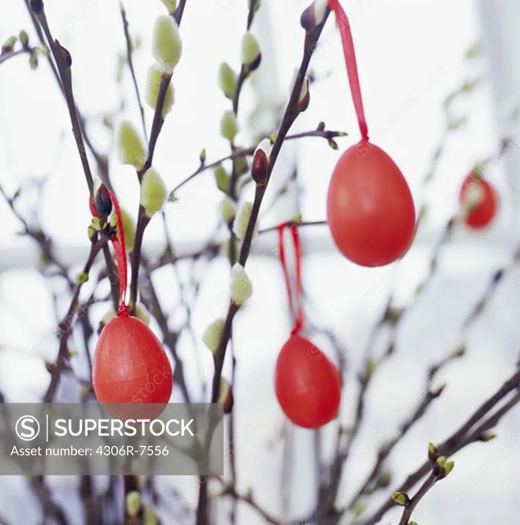 Red decorations hanging on branches at Easter, close-up