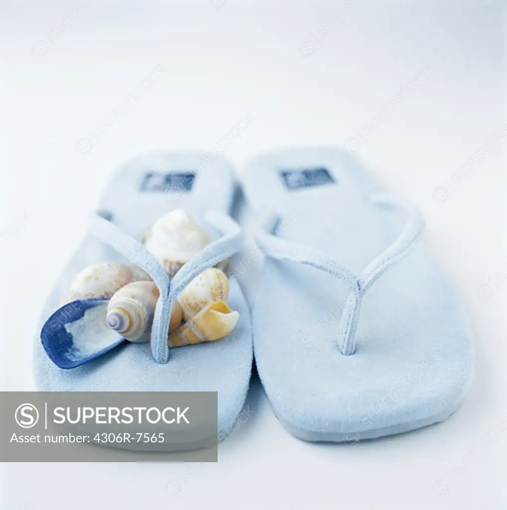 Pair of blue slipper with shells, close-up