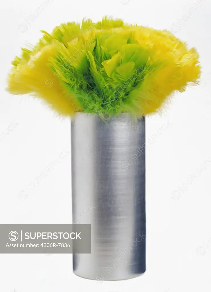 Silver and green feathers in silver vase, close-up