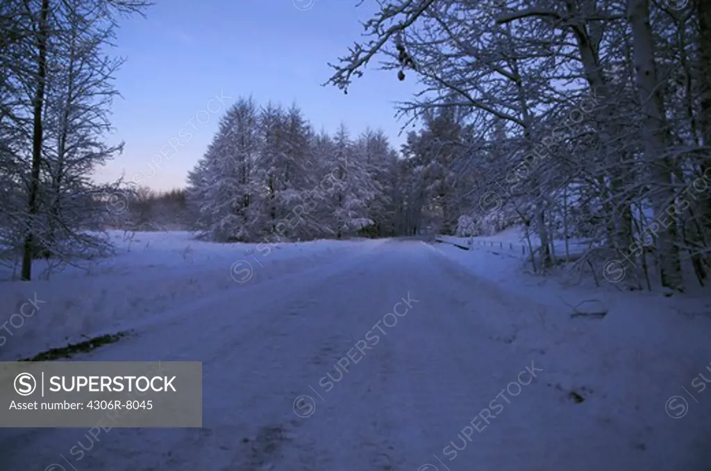 Snow covered road with forest in background