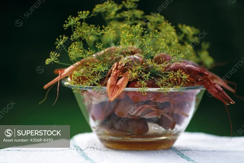 Crayfish in bowl with dill