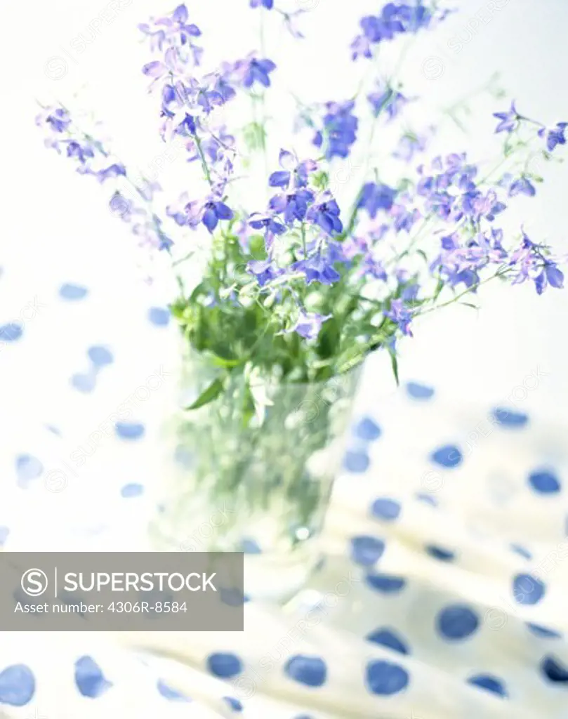 Vase of purple flowers on spotted cloth, close-up