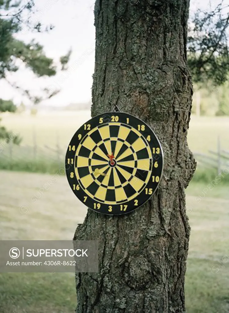 Dart board on tree trunk with arrow