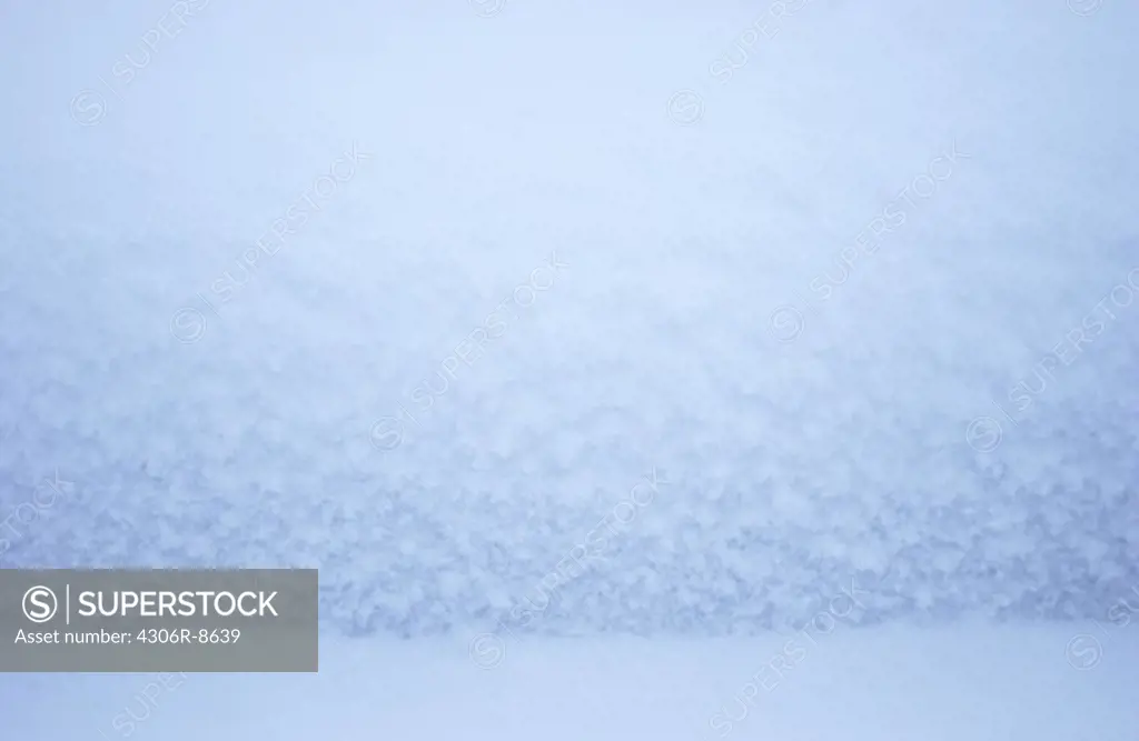 Close-up of snow in winter