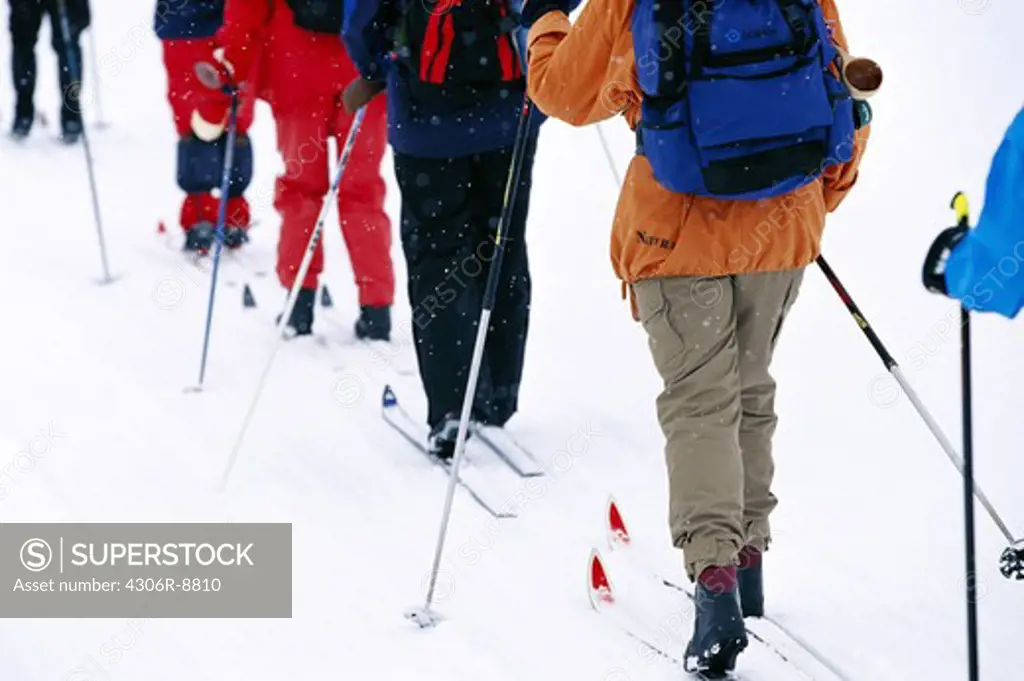 People croos-country skiing in Lapland, Sweden.
