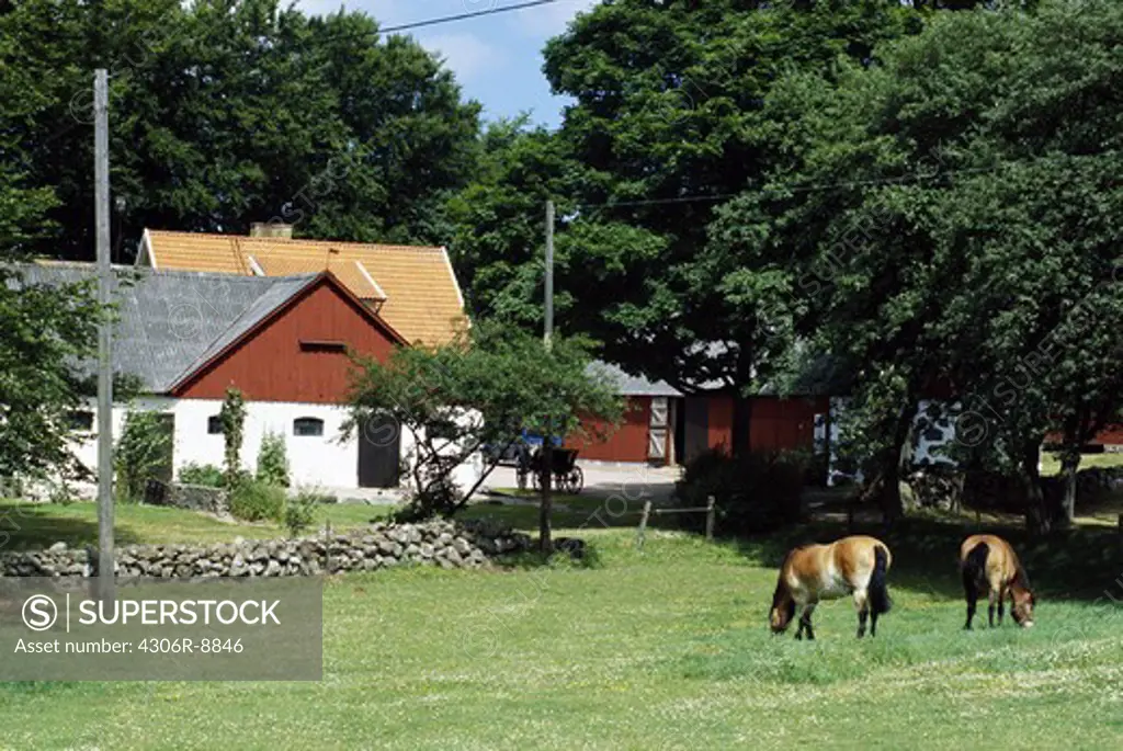 A farm with horses in a pasture in the foreground.