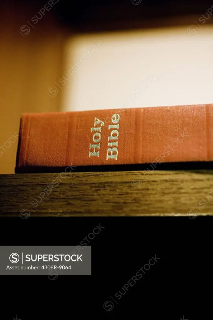 The spine of a bible.