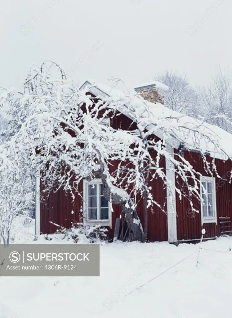 A red cottage in a winter landscape.