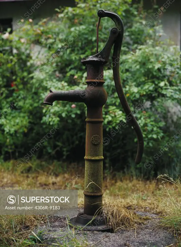 A water pump in a garden.
