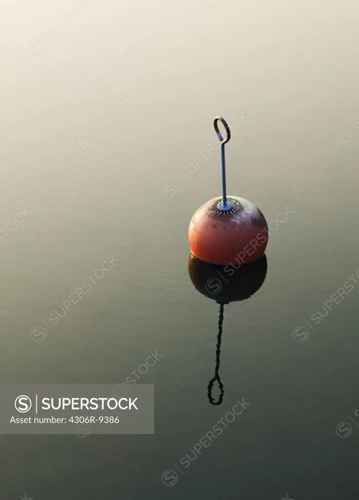 A buoy in calm water.
