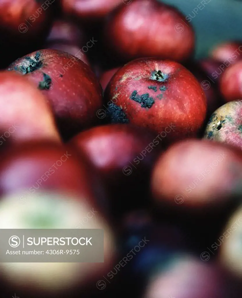 Red apples.