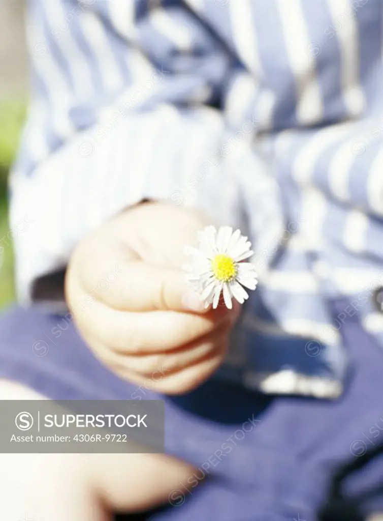A girl holding a daisy.
