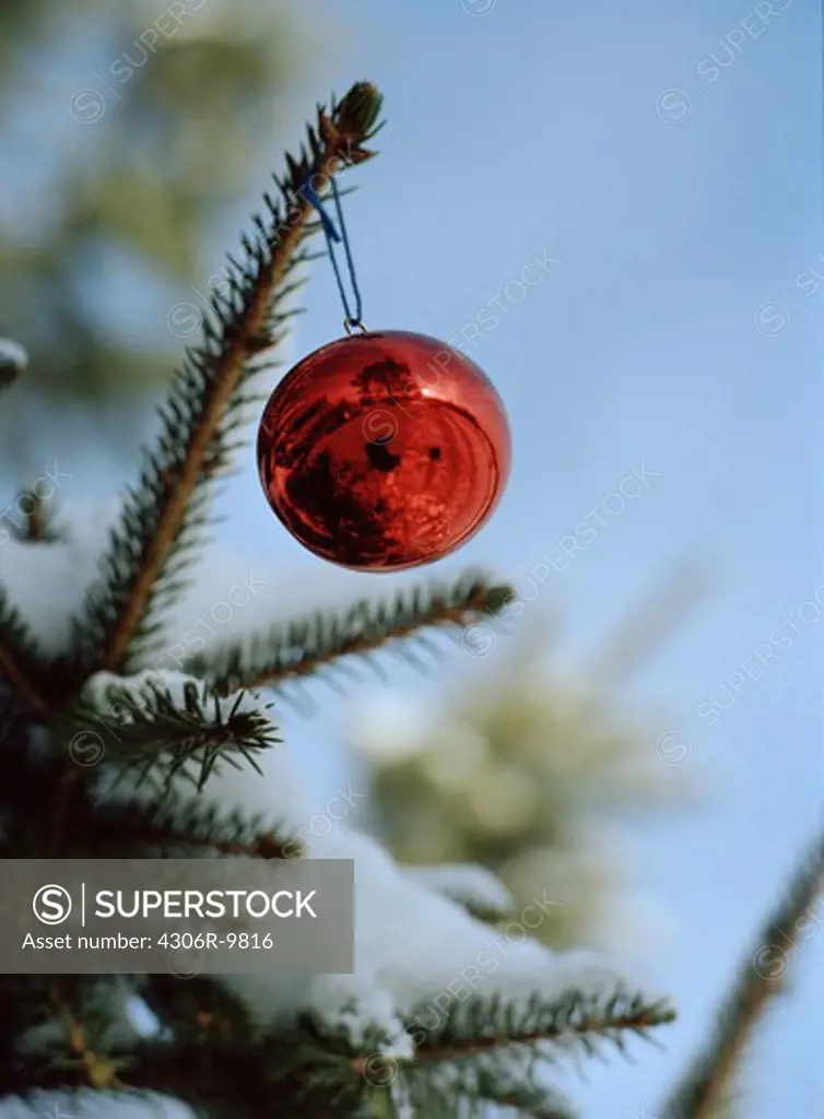 Red crystal ball in Christmas tree.