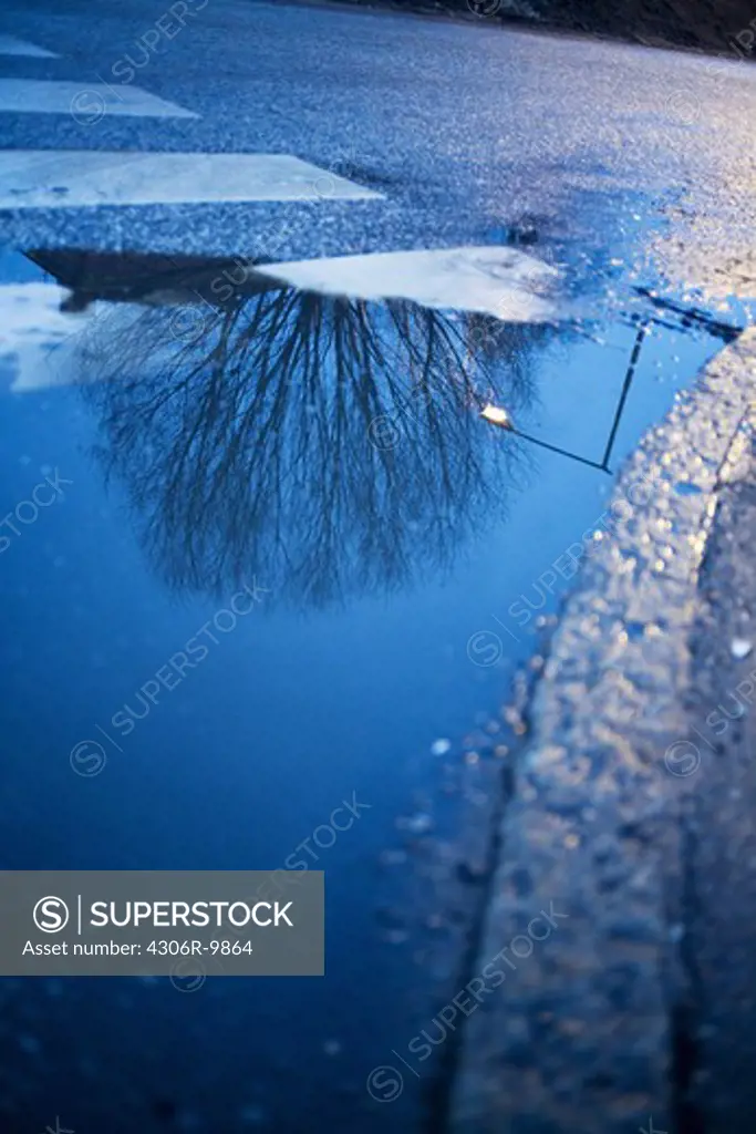 A puddle by a zebra crossing.