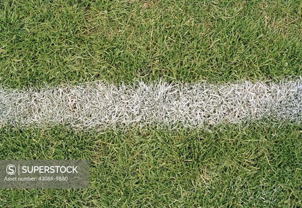 Goal line on a football ground.