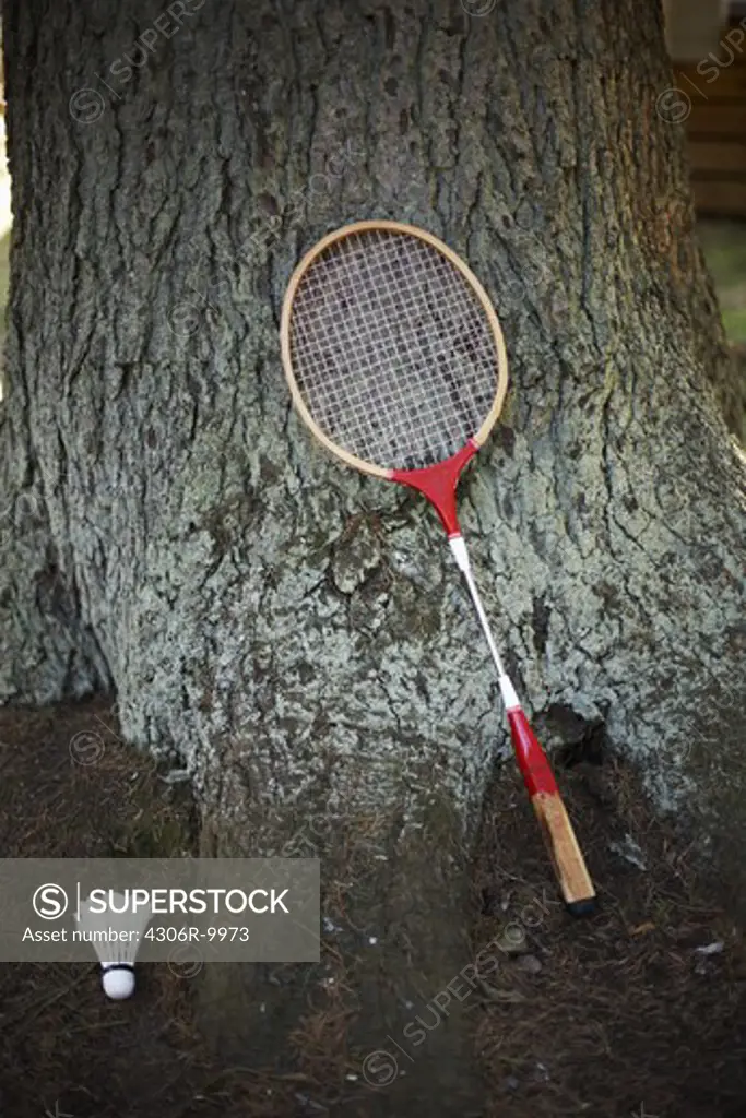 Badminton racket and a shuttlecock.