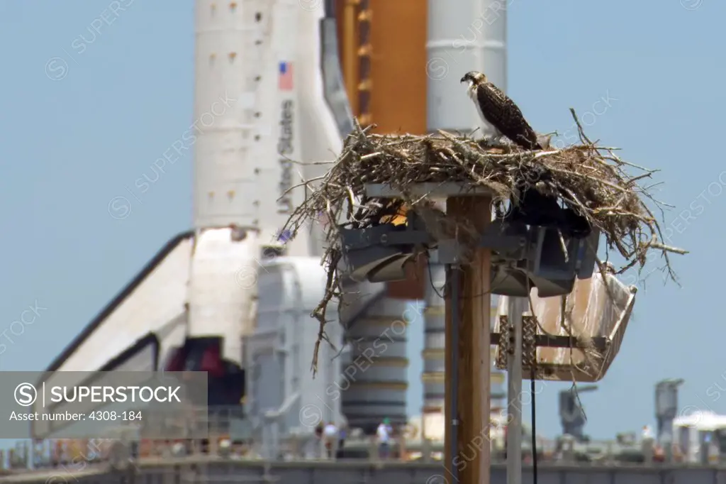 Falcon's Nest and Space Shuttle