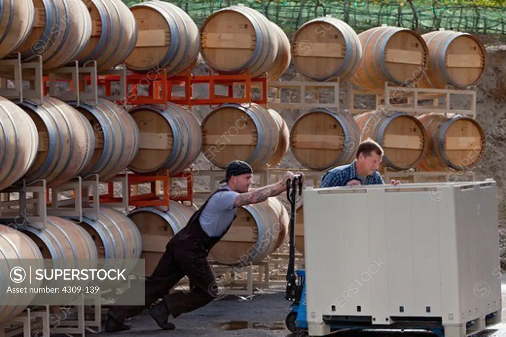 Vintner and assistant moving a bin of grapes.