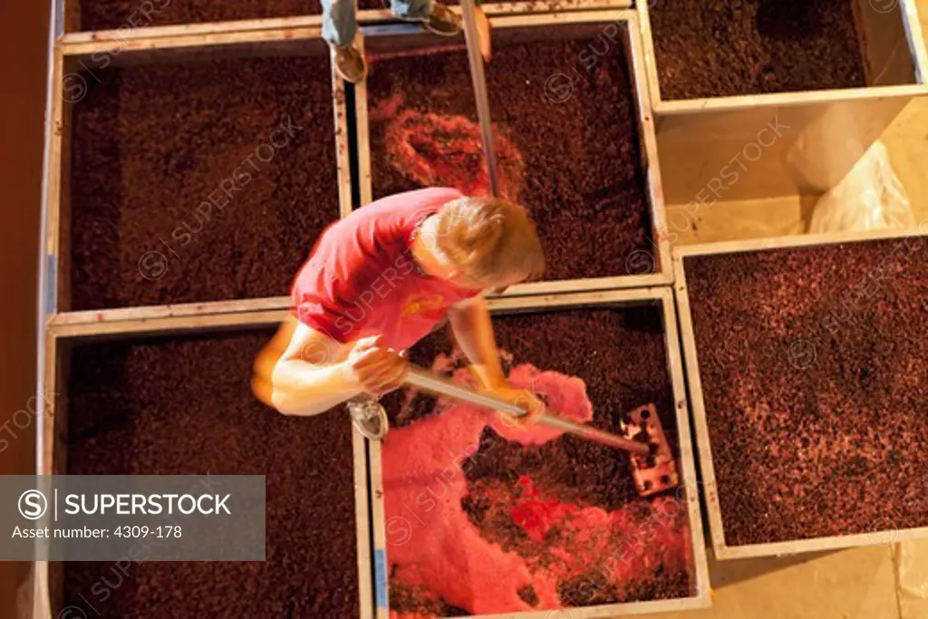 Winemakers punch down grapes during fermentation at a winery in Washington state.