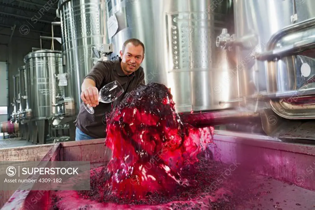 Winemaker Gilles Nicault collects sample of red wine.