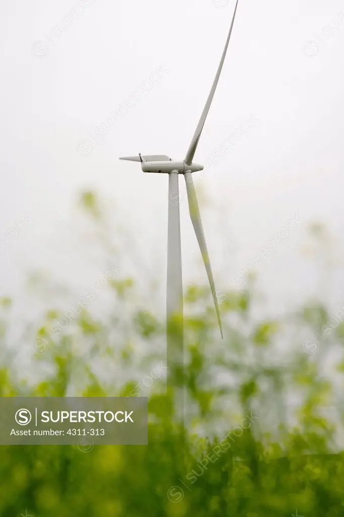 Wind turbine in a farm, Nine Canyon Wind Project, Richland, Washington State, USA