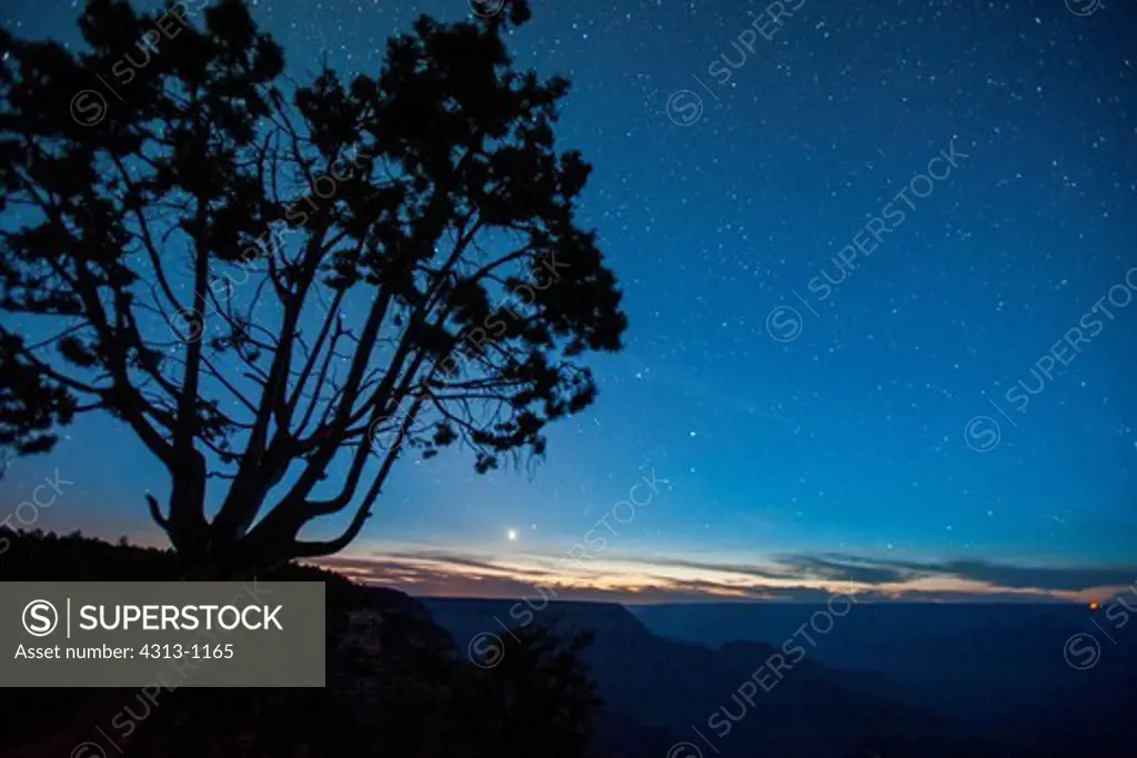 A starry night sky is seen in the late twilight after sunset on the South Rim of the Grand Canyon. Venus is the bright object near the horizon