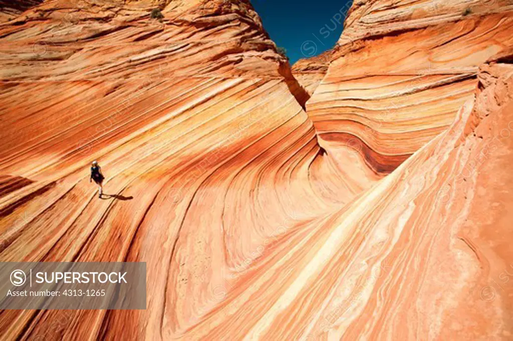 A hiker walks along the Wave, a rare rock formation in the North Coyotee Buttes wilderness on the Arizona-Utah border, consisting of layers of eroded sandstone carved out into several u-shaped troughs