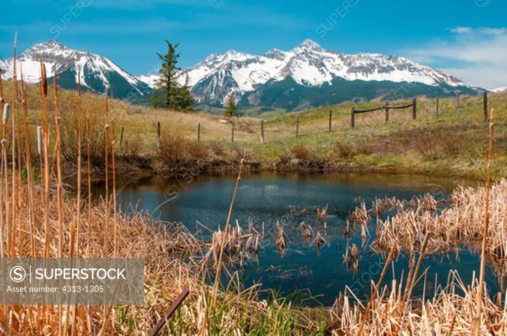 14,246 foot Mount Wilson near Telluride, Colorado is seen behind a small pond and reeds
