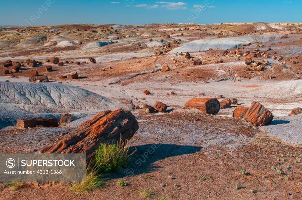 Petrified wood and logs are seen at Petrified Forest National Park, Arizona