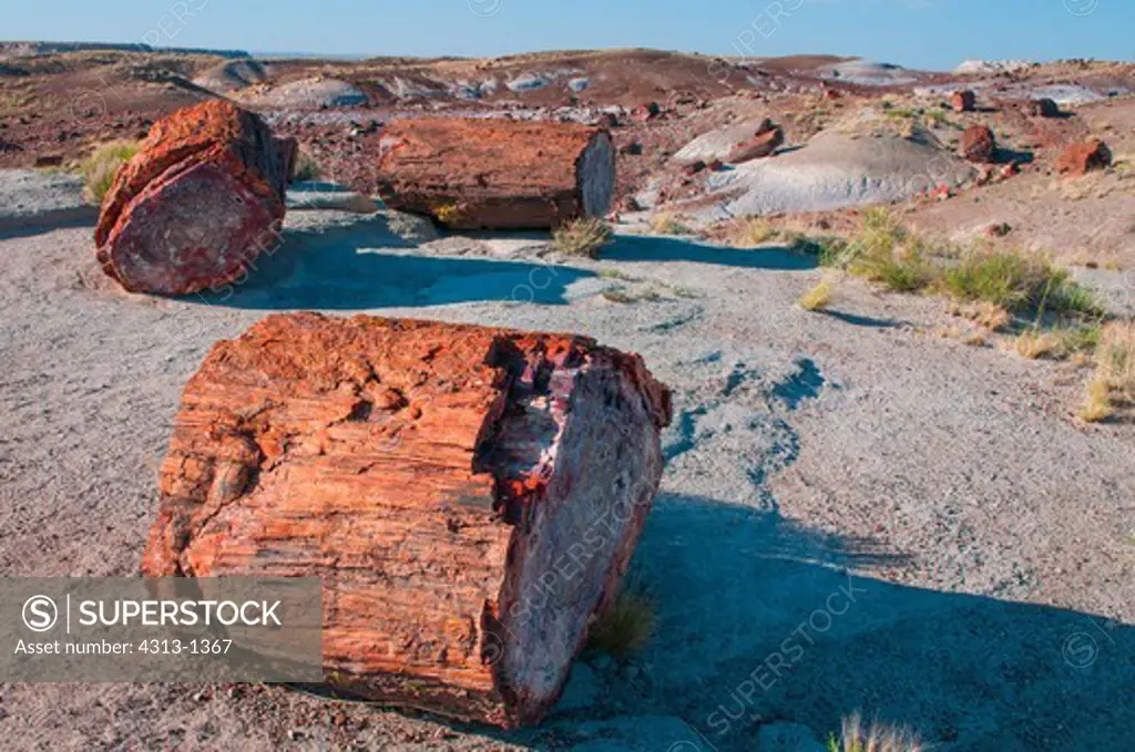 Petrified wood and logs are seen at Petrified Forest National Park, Arizona