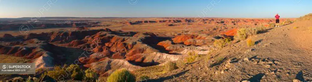 Panorama shows a tourist looking out over the Painted Desert in Petrified Forest National Park, Arizona