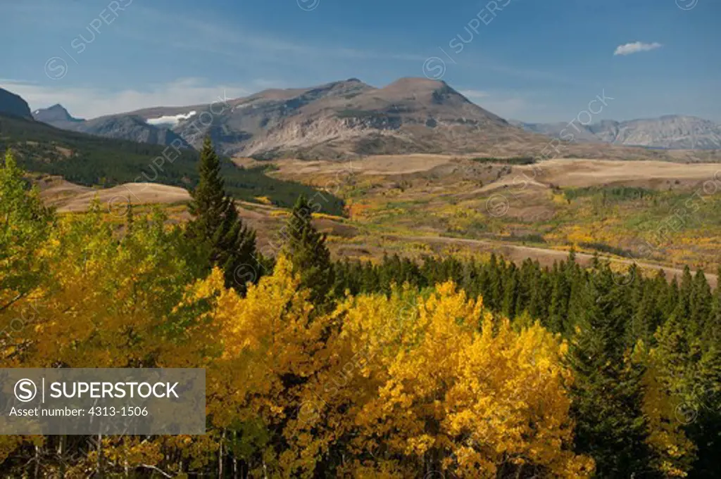 USA, Montana, Landscape with yellow aspen trees in Glacier National Park