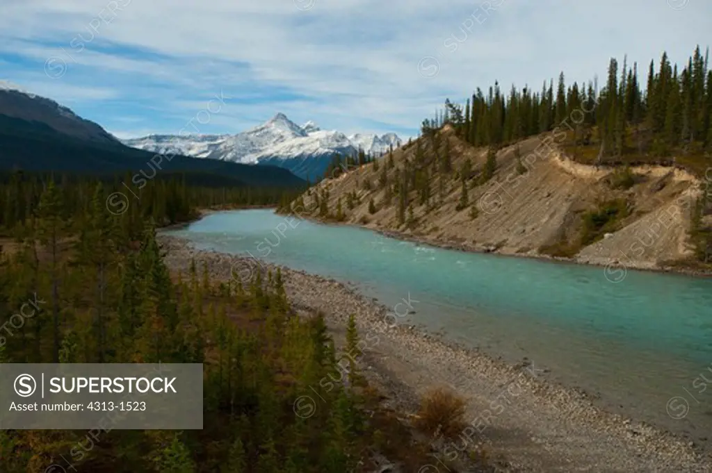 Canada, Banff National Park, View of Saskatchewan River along Icefields Parkway