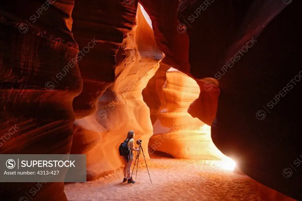 Inside spectacular Antelope Canyon, near Page, Arizona, where during the summer months for about an hour each day beams of sunlight penetrate to the dusty canyon floor