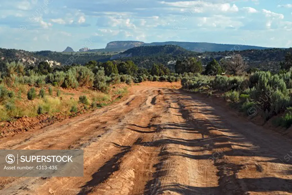 A rutted dirt road in Grand-Staircase Escalante National Monument, Utah, with mesas in the distance.