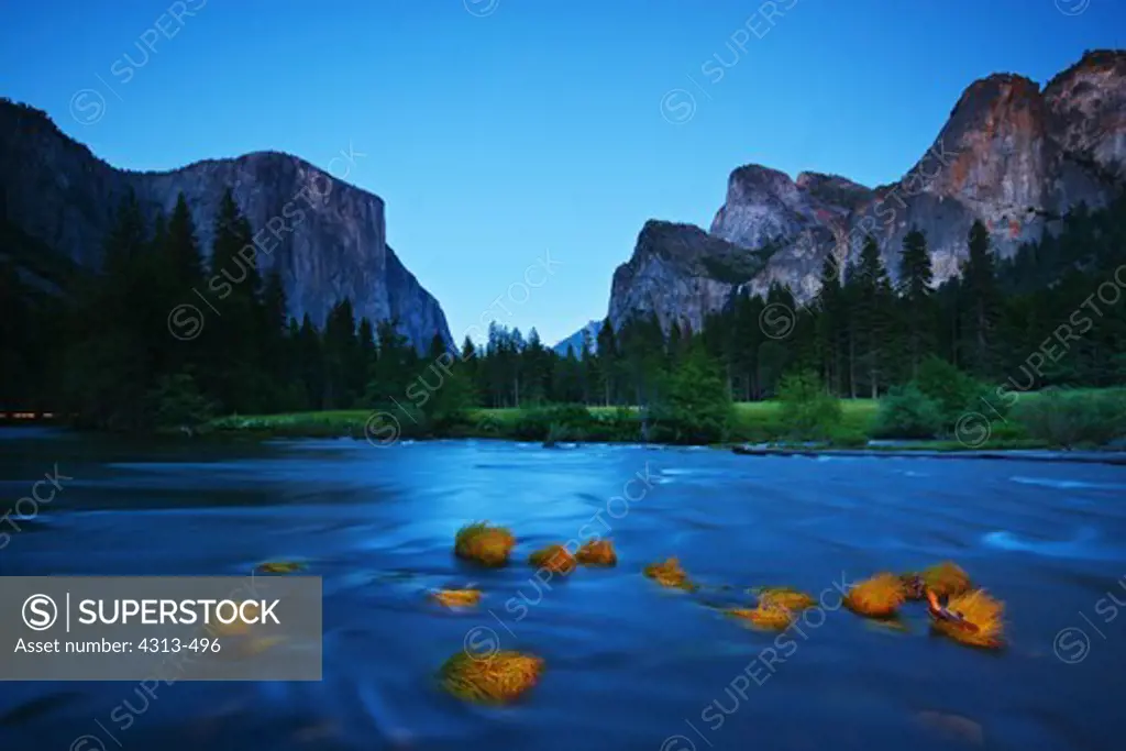 A time exposure captures flowing waters and reeds lit with artificial light in Yosemite Valley at dusk, Yosemite National Park.