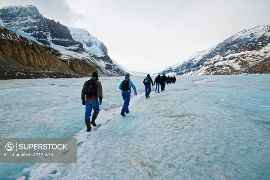 Hikers trek across the surface of Athabasca Glacier. Athabasca Glacier occupied most of the valley in the 1960s, but in the last fifty years global warming has melted most of it. It may be gone by 2030.