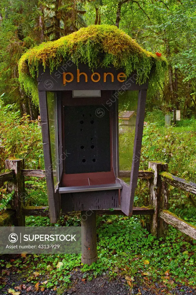Abandoned Phone Booth Covered With Moss