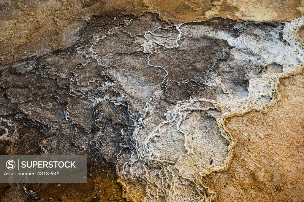 Formations of Minerals and Bacteria at Mammoth Hot Springs