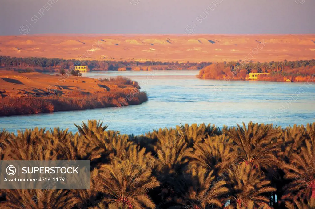 The Euphrates River, Palm Groves, and Desert Beyond from Albu Hyatt, in Iraq's Anbar Province