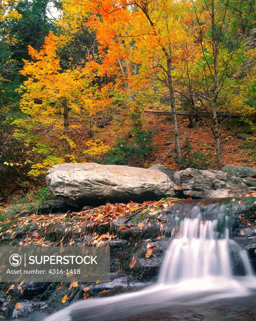 Flowing Creek Amid Fall Color in New York's Adirondack Mountains