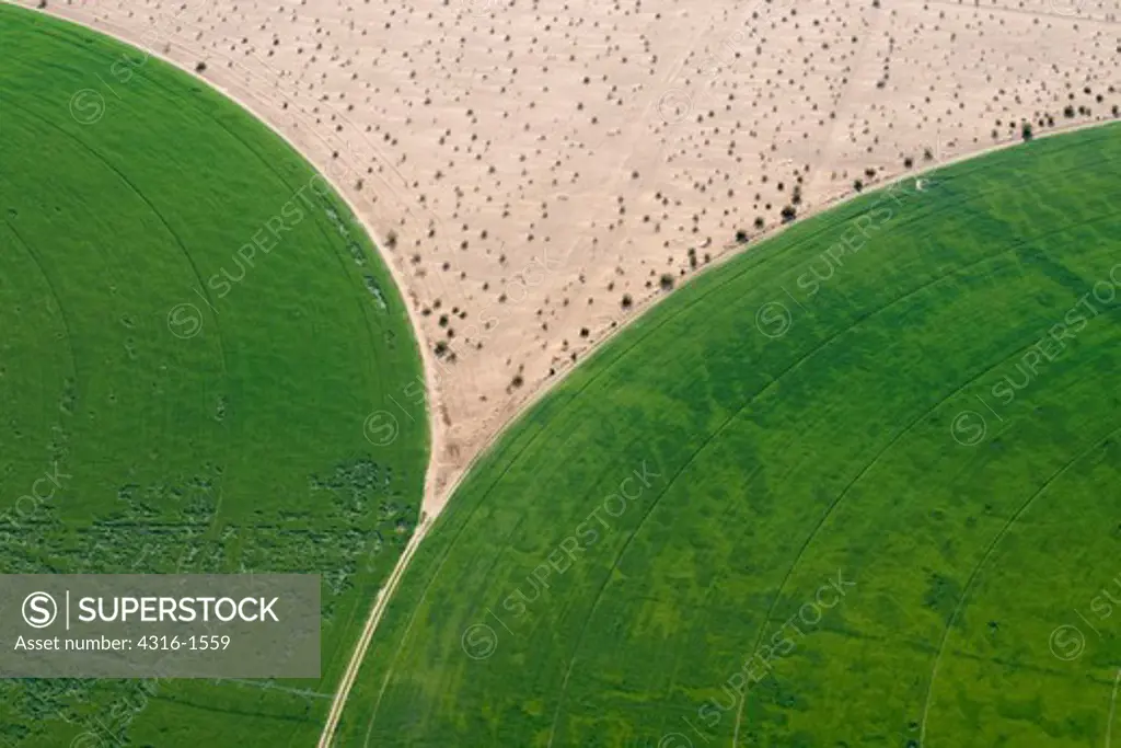 Aerial View of Desert Agriculture