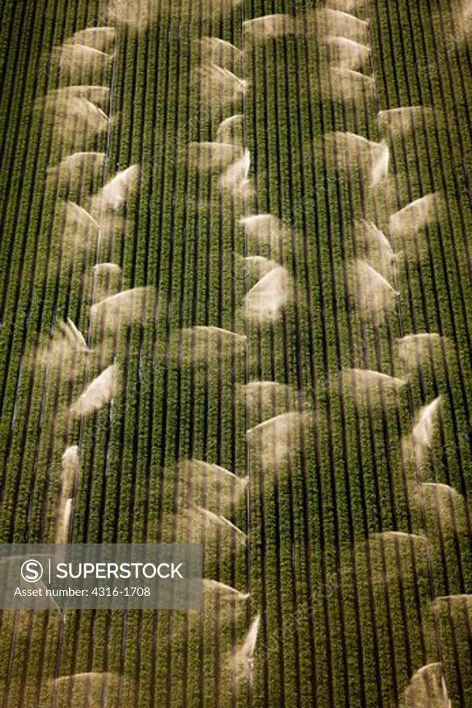 Row Crop Irrigation