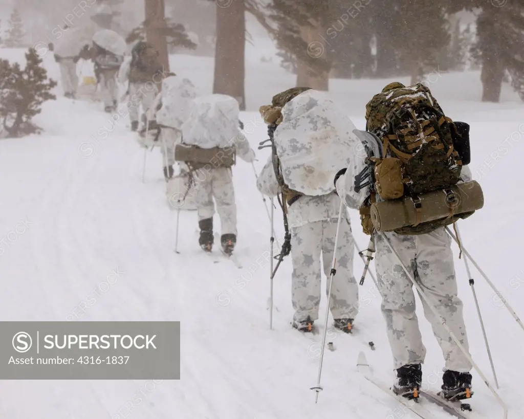 U.S. Marines Ski Through a Blizzard