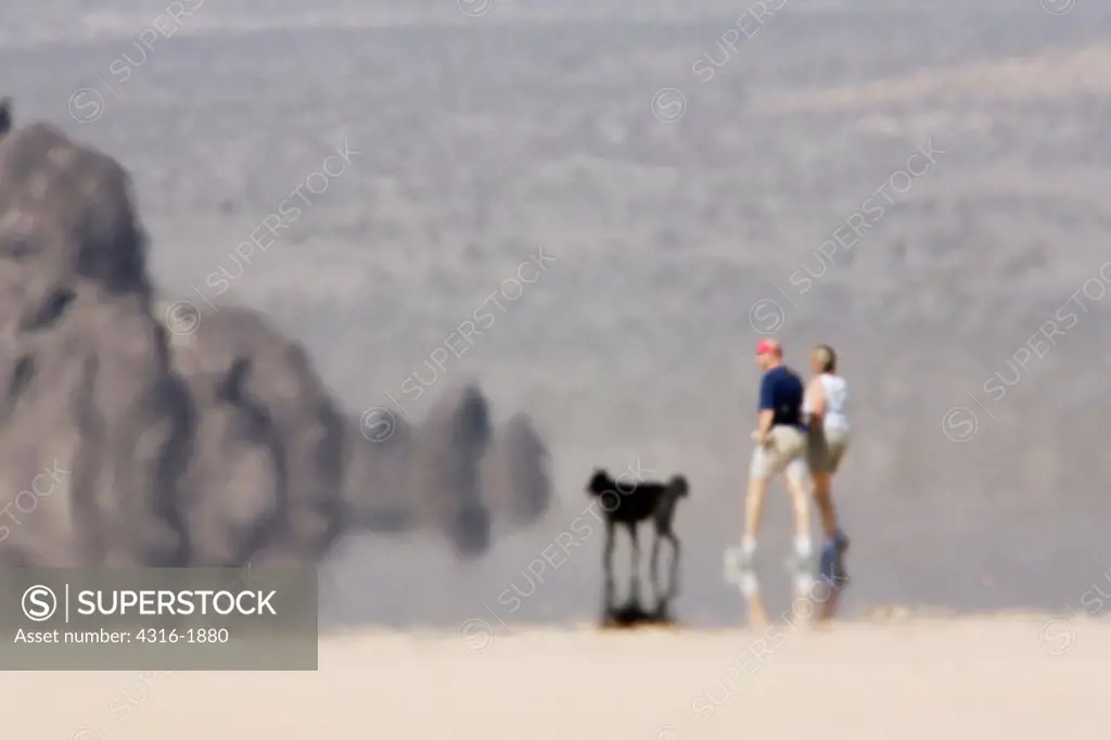 Strong Inferior Mirage Reflecting  Couple Walking Their Dog